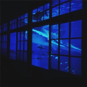 色一情一伦一子一伦一区
