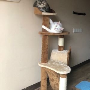 色一情一伦一子一伦一区
